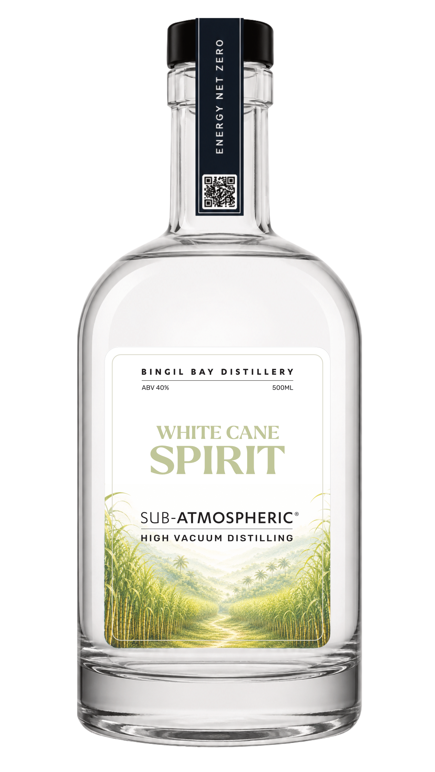 White Cane Spirit